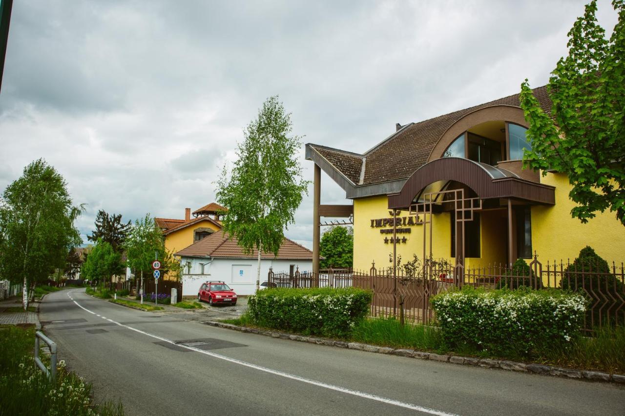 Pensiunea Imperial Targu Mures Luaran gambar