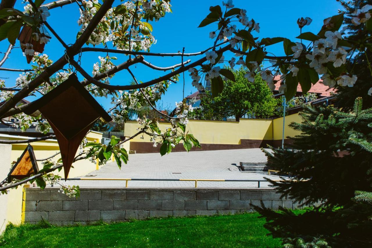 Pensiunea Imperial Targu Mures Luaran gambar